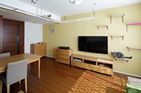 お客さまからのご感想